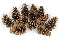Pinecones for potpourri
