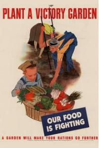 Plant a victory garden