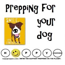 Prepping for your dog - How to prepare your dog for survival