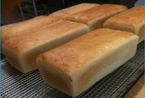 Salt rising bread