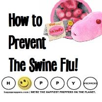 How to prevent the swine flu