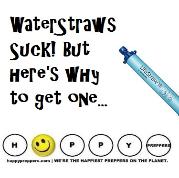 Water straws suck, but here's why you'll want to buy one...
